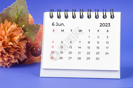 2023年6月的月度案头日历 历时2023年 有花在紫色背景上图片