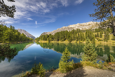 瑞士阿尔卑斯山瑞士格里森斯山口Albula山的Alpula湖湖天堂远足松树风景文化水面目的地爬坡晴天反射背景