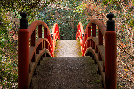 清晨光照耀时穿过和平森林的红拱门日本人行桥图片