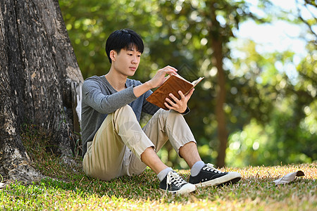 和平的亚洲年轻男学生在公园里读书 为大学或学院的考试做准备图片