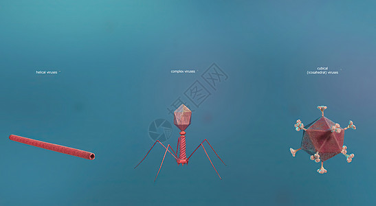 病毒是一种亚微观感染因子 仅在生物体的活细胞内复制螺旋微生物学疾病感染噬菌体免疫系统脂质物质风险马赛克图片