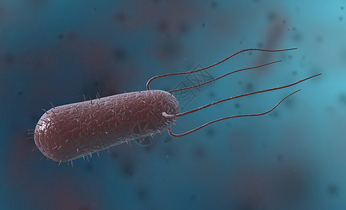 Bacillus是一种以杆或棒为形式的克阳性和波状成形细菌毒素球形螺旋形细胞膜杆状淋病病原梅毒生物学鞭毛图片