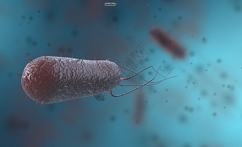 Bacillus是一种以杆或棒为形式的克阳性和波状成形细菌球形毒素发烧大都会大肠杆菌瘟疫梅毒鞭毛病原霍乱图片