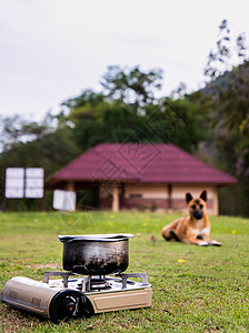 野餐炉或便携式煤气炉上用锅子煮饭 还有一只狗在做饭时坐着等饭厨房食物厨具农村环境草地火炉天空生活建筑图片