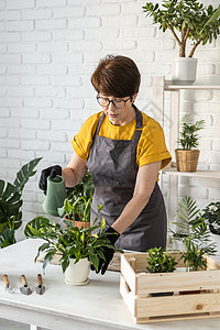 穿着围裙衣服的中年妇女照顾盆栽植物 家庭园艺和花卉栽培 有绿色植物和小屋核心植物花店概念的房子花园女人花盆家庭生活农业植物学成人图片