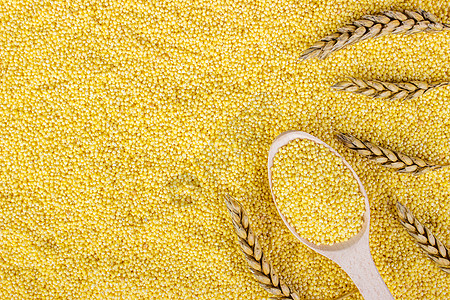小麦谷物和小麦小麦颗粒高清图片
