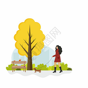 一名女孩在秋天公园与狗同行 用矢量卡通平面图解 一名妇女走小达赫肖德路 以生活方式绘画图片