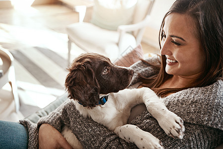 小狗 快乐和女人在家里的客厅沙发上 小心翼翼地与动物相处 宠物爱 狗和家里幸福的人 在休闲沙发上 狗微笑着 一起感到平静图片