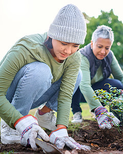植物 社区服务和妇女在公园 花园和大自然中为可持续发展做志愿者 地球日项目的气候变化 团队和沙地树木园艺 土壤中的生长和绿色生态图片