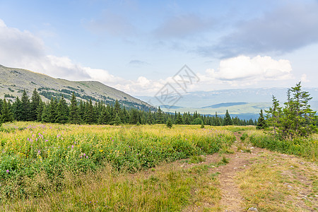 南乌拉尔的森林和山脉 在俄罗斯Tyyulyuk村附近 Drone风景针叶林天空悬崖全景场景岩石太阳石头地标蓝色图片