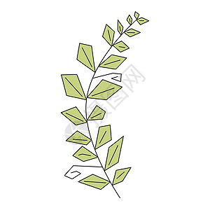 带有叶子的微晶化树枝多边形生物植物生态插图线稿几何学艺术树叶程式化图片