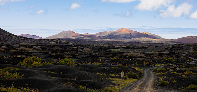 La Geria 葡萄酒产区的黑色火山景观 可欣赏兰萨罗特岛 Timanfaya 国家公园的景色 西班牙加那利群岛兰萨罗特岛的热图片