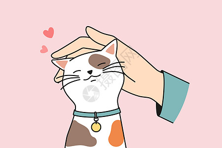 手抚摸可爱猫图片