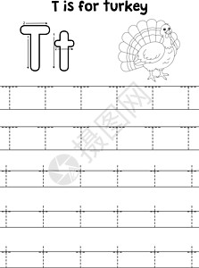 土耳其动物追踪信ABC 彩色页面 T手绘学校彩页字母语言工作簿学习英语写作插图图片