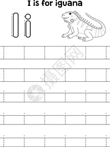 Iguana动物追踪信ABC 彩色页面一图片