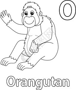 Orangutan 字母 ABC 孤立颜色页面 O图片