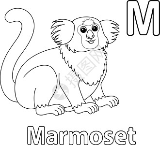 Marmoset 字母字母 ABC 孤立的颜色页面 Z图片