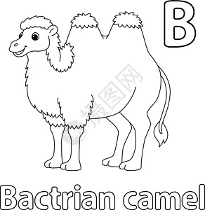 Bactrian 骆驼 字母 ABC 单色 B图片