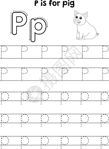 猪畜追踪信 ABC 彩色野生动物手绘插图痕迹字母图画书小学教育孩子彩页图片