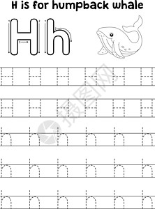 Humpback 鲸鱼追踪信件ABC 彩色 H图片