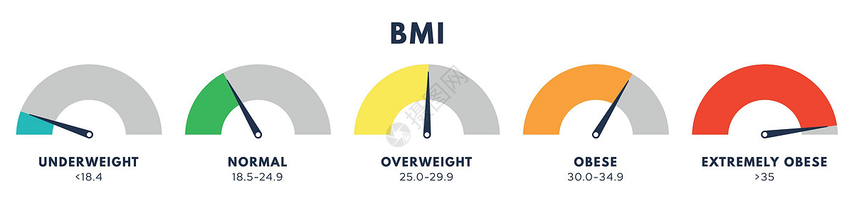 身体质量指数或质量指数量表 BMI 的类型 减肥概念 矢量隔离图图片