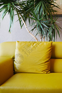 现代黄色沙发 家里客厅有枕头图片
