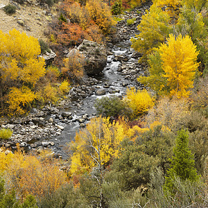 山区流季节正方形自然世界白杨高角度照片树木岩石农村颜色图片
