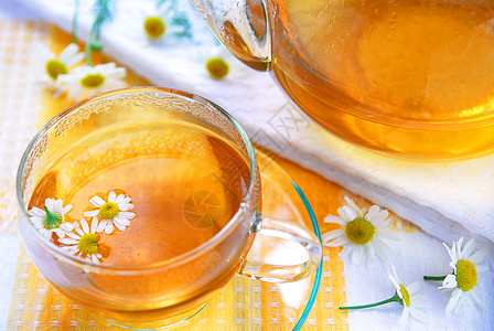 Camomile 茶疗法植物玻璃蒸汽芳香服务生活饮料杯子雏菊图片