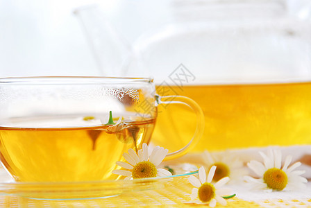 Camomile 茶杯子饮料芳香生活服务药品茶碗玻璃花朵草本植物图片