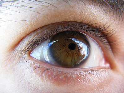 眼目与隐形透视镜睫毛眼睛瞳孔鸢尾花一部分隐形眼镜眼球图片