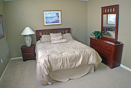 主卧室房子展示房间奢华财产投资羽绒被财富枕头家具图片