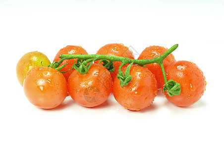 新鲜樱桃红番茄植物圆形香料橙子红色沙拉白色食物营养生产图片