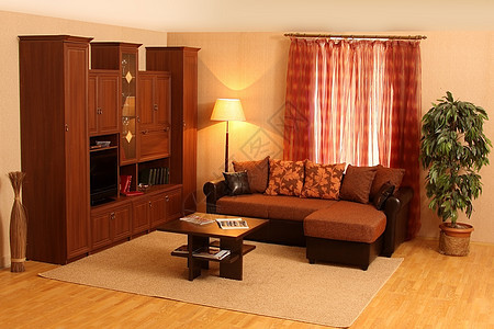 客厅风格住宅桌子小地毯座位窗户沙发工作室奢华木头图片