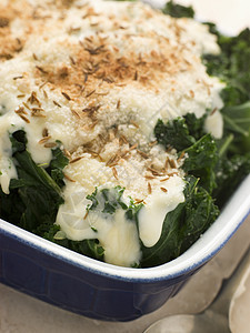 Curly Kale 带起司酱和小菜籽及面包屑面包食品厨艺素食者奶制品蔬菜烹饪草本植物种子生产图片