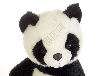 大熊猫拥抱动物玩具熊毛皮哺乳动物童年野生动物友谊乐趣玩具图片