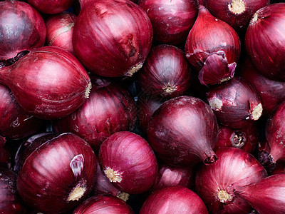 红洋葱杂货商灯泡文化盒子蔬菜农场生产植物紫色食物图片