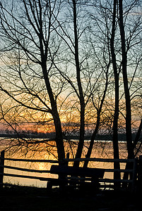 日落风景栅栏剪影树木天空背景图片