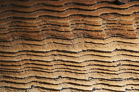 木木纹理木头裂缝锯齿宏观沟壑戒指材料年轮木材图片
