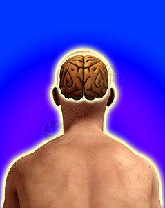 男性脑部智慧脖子坡度思考想像力智商保健男人科学头脑图片