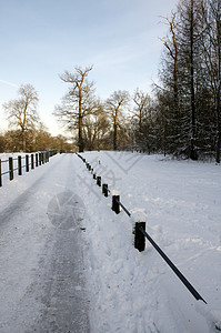 冬天栅栏降雪小路雪景暴风雪季节树木公园天气环境图片