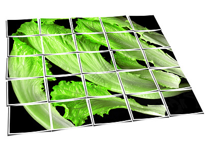 生菜叶叶子收藏合成沙拉植物照片团体作品数字化花园图片