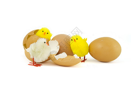 三个复活节小鸡图片