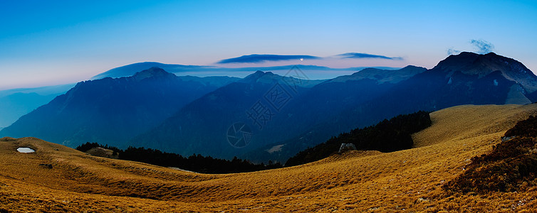 美丽的全景山地景观 清晨有金色草原图片