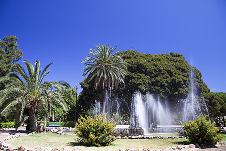 英语花园晴天树叶棕榈公园季节假期溪流植物喷泉线条图片