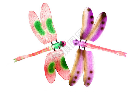 两只多彩的苍蝇飞昆虫被隔离风格荒野生物身体紫色玩具橙子装饰漏洞飞行图片