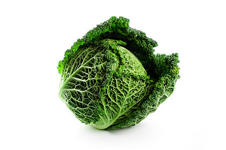 新鲜蓝菜卷心菜水果叶子白色饮食食物绿色沙拉蔬菜营养植物图片