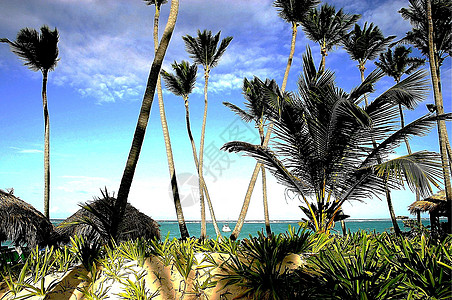 多米尼加海岸线图片