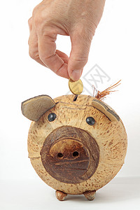 公募基金抢救 公手把硬币放进小猪银行玩具银行业贷款天空订金收益生态小猪财富货币背景