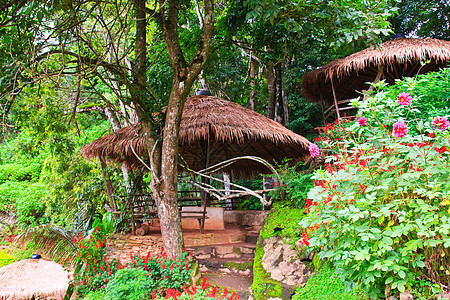 泰国山区部落式小屋晴天农村建筑热带乡村假期财产旅游旅行文化图片