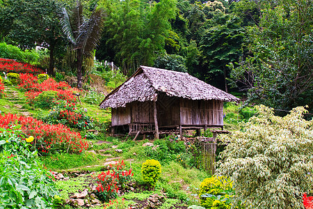 绿色家Thia 山区部落风格小屋爬坡公园植物热带国家花园文化建筑房子旅行背景